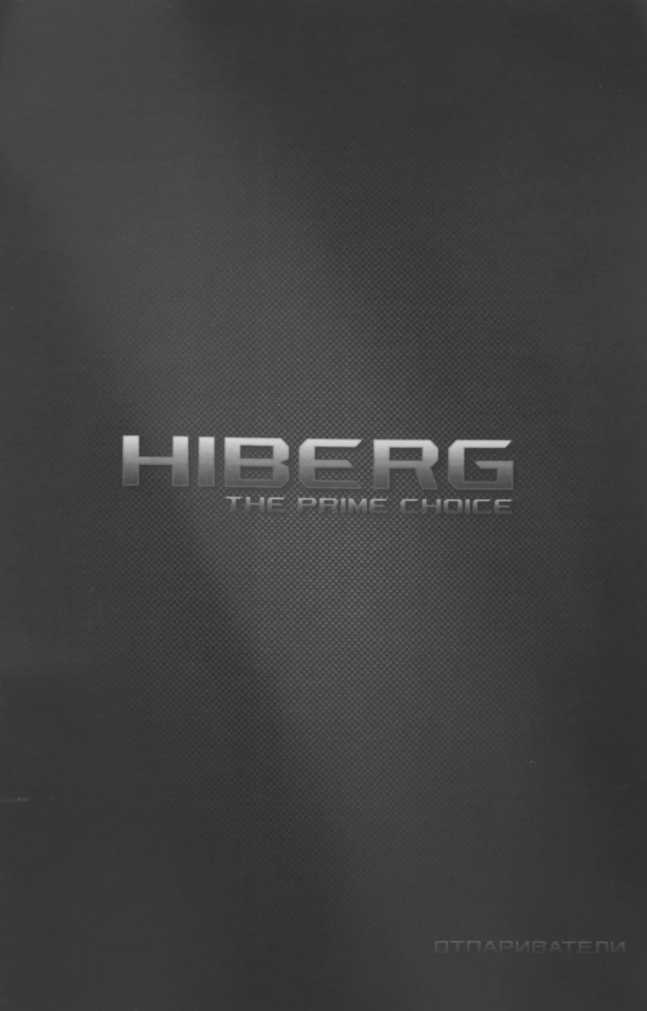 Отпариватель напольный Hiberg GS 5000 S 1800Вт серебристый