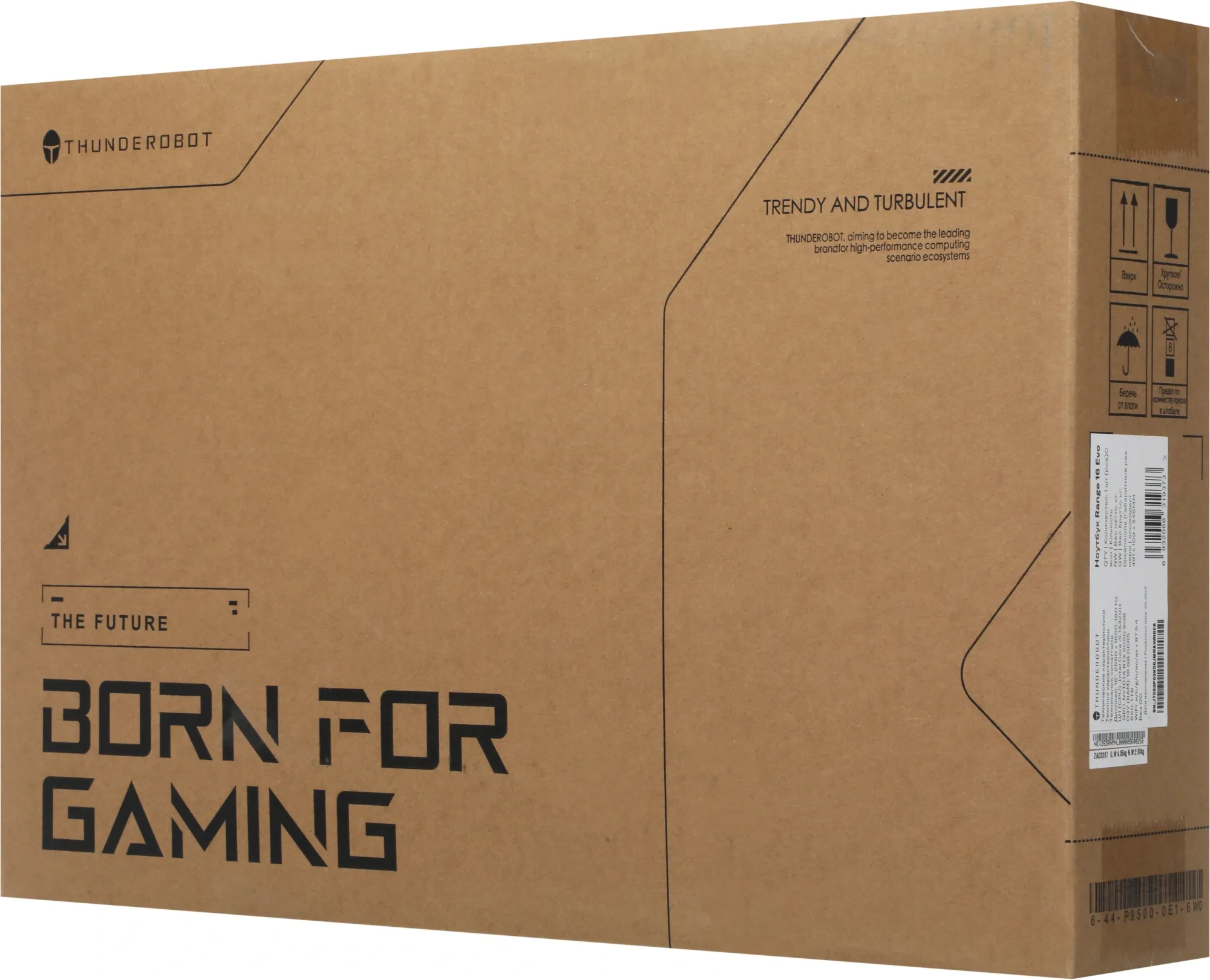 Ноутбук Thunderobot Range 16 Evo Core i5 13420H 16Gb SSD1Tb NVIDIA GeForce RTX5050 8Gb 16" IPS QHD (2560x1600) FreeDOS black WiFi BT Cam (JT009P00KRU)
