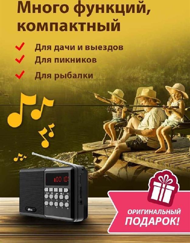 Аудиосистема Ritmix Радиоприемник RPR-001