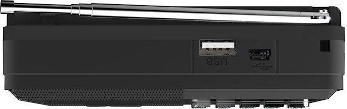 Аудиосистема Ritmix Радиоприемник RPR-001