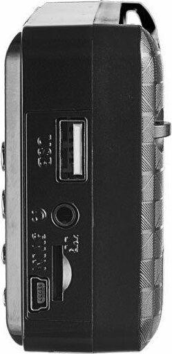 Аудиосистема Perfeo Радиоприемник (PF-A4870) PALM