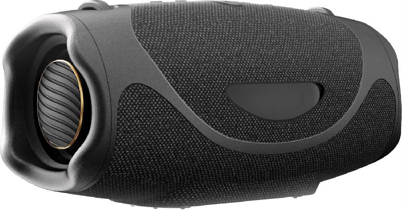 Колонка Hisense FlexBOOM