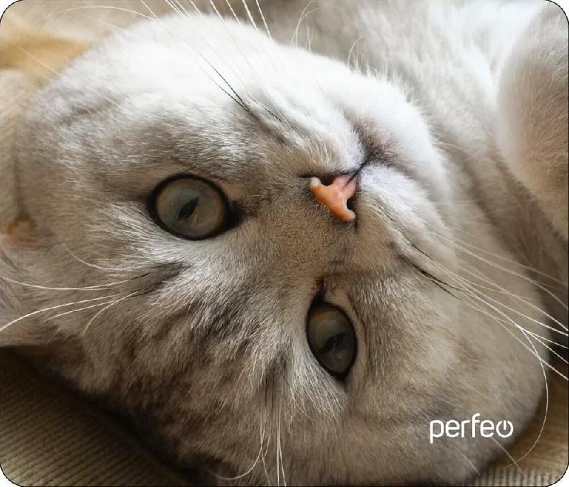 Мышь Perfeo Коврик для компьютерной мыши "Cat"