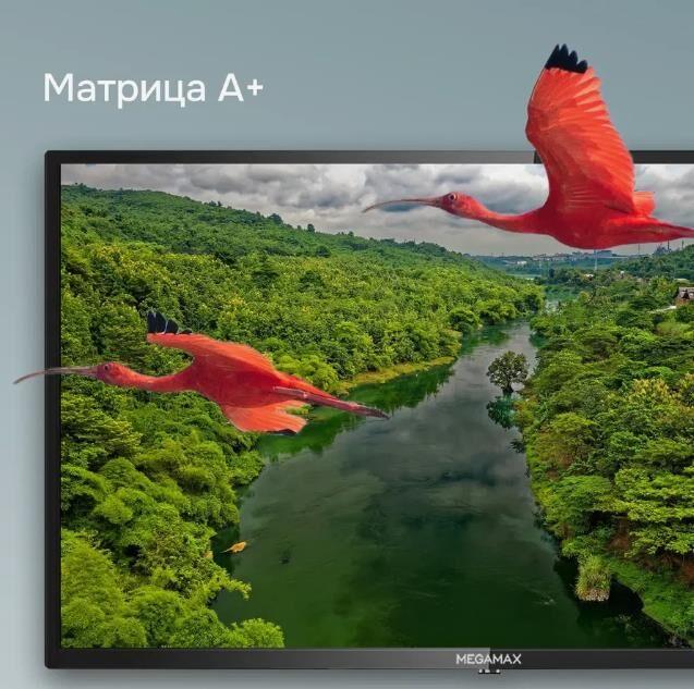 Телевизор Megamax LED 32" HD 32MG11HSM