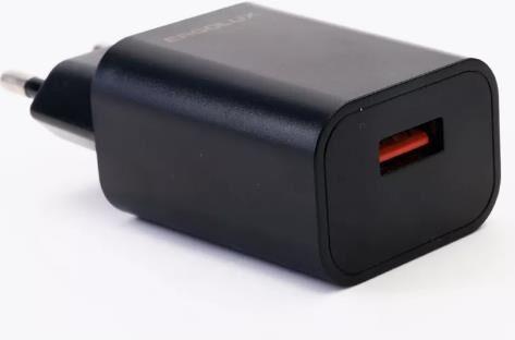 Сетевой адаптер Ergolux Зарядка Ergolux ELX-РA01P-C02 ПРОМО (Сетевой адаптер