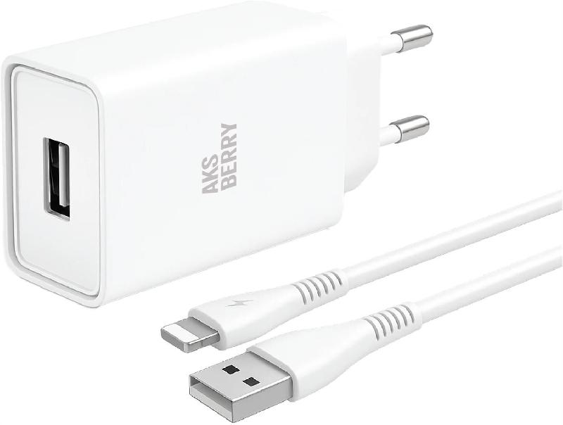 СЗУ AKSBERRY (6900221580012) T40 1USB 24A + Lightning (белый)
