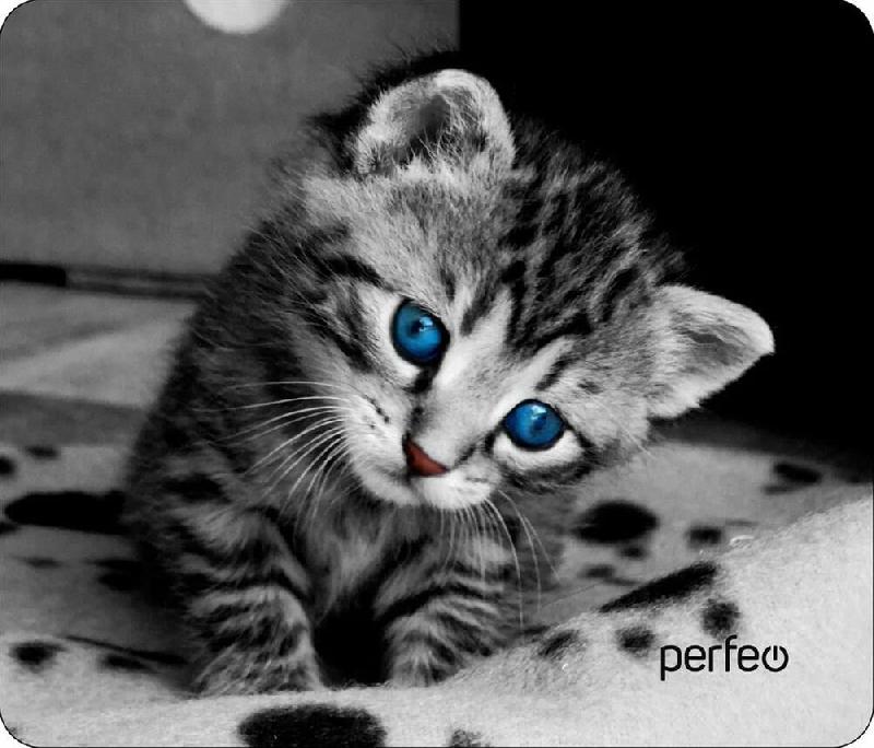 Коврик для компьютерной мыши PERFEO (PF_D0655) "Cat"