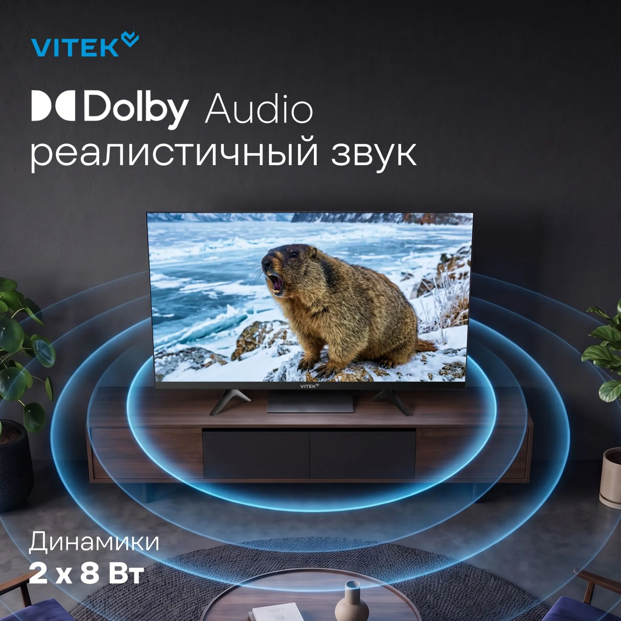 Телевизор QLED Vitek 32" VT-32QBS500 Google TV Frameless черный/черный HD 60Hz DVB-T DVB-T2 DVB-C DVB-S DVB-S2 USB WiFi Smart TV