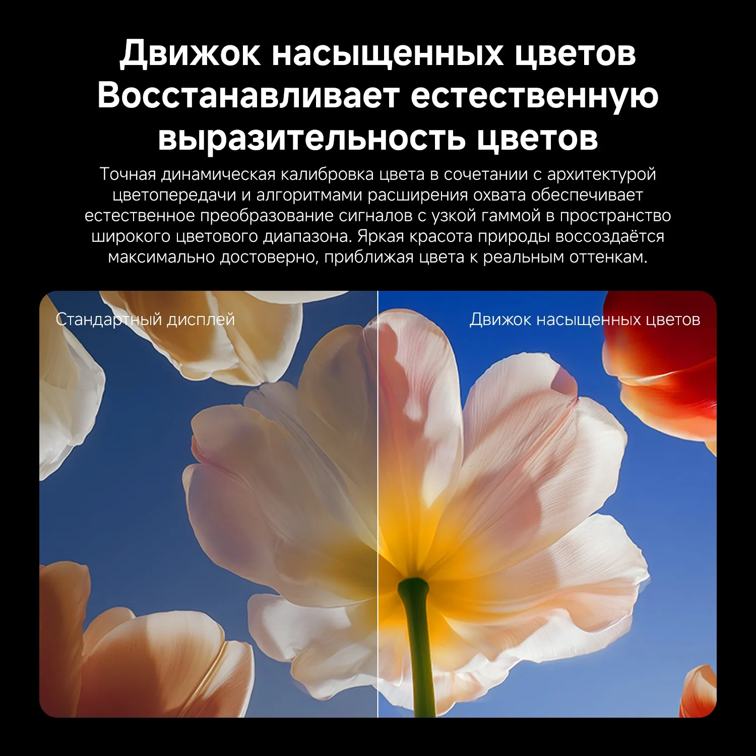 Телевизор QLED Xiaomi 85" TV S Mini LED 85 2026 темно-серый 4K Ultra HD 144Hz DVB-T2 DVB-C DVB-S2 USB WiFi Smart TV