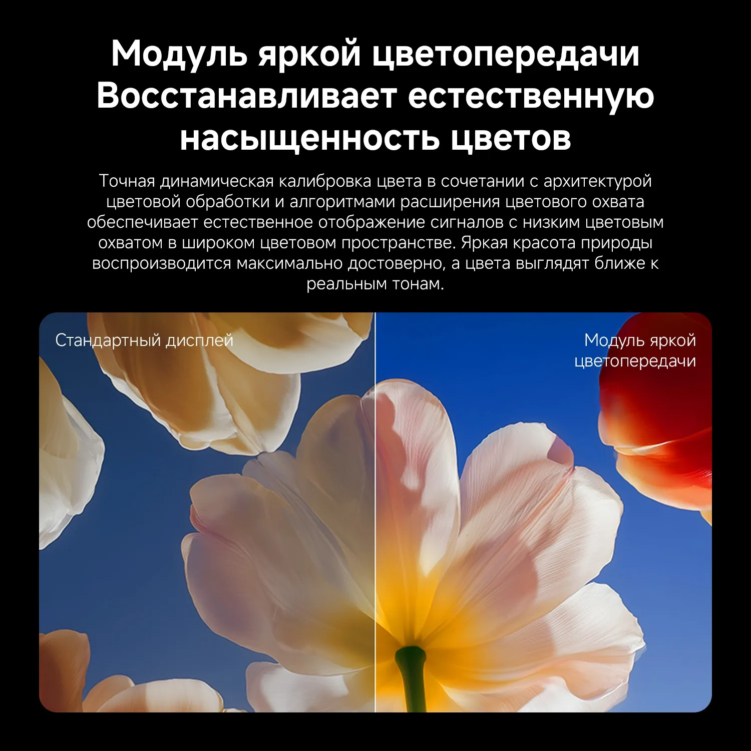 Телевизор QLED Xiaomi 55" TV S Mini LED 55 2026 темно-серый 4K Ultra HD 60Hz DVB-T2 DVB-C DVB-S2 USB WiFi Smart TV